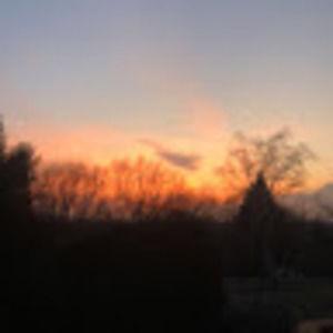 Meet your Posher, Eva